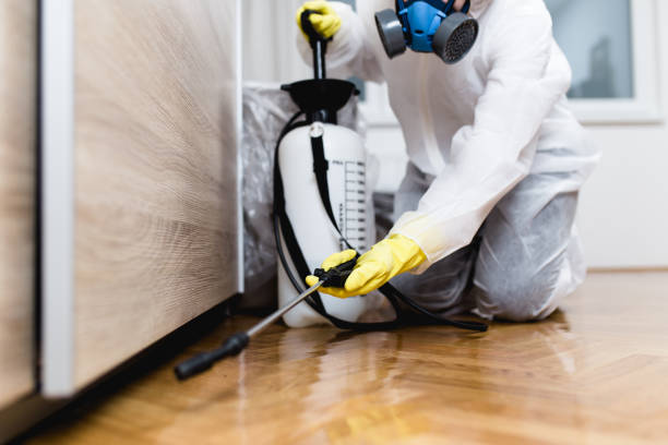 Best Bed Bug Extermination  in Harlem, FL