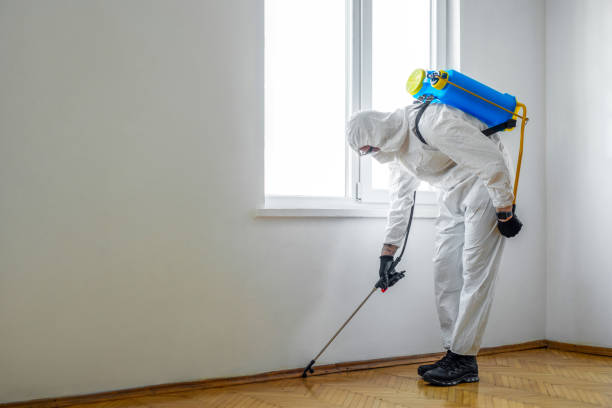 Best Pest Control Treatment  in Harlem, FL
