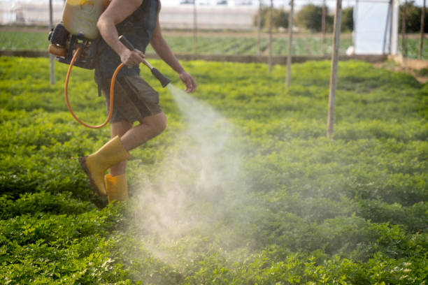 Best Commercial Pest Control Services  in Harlem, FL
