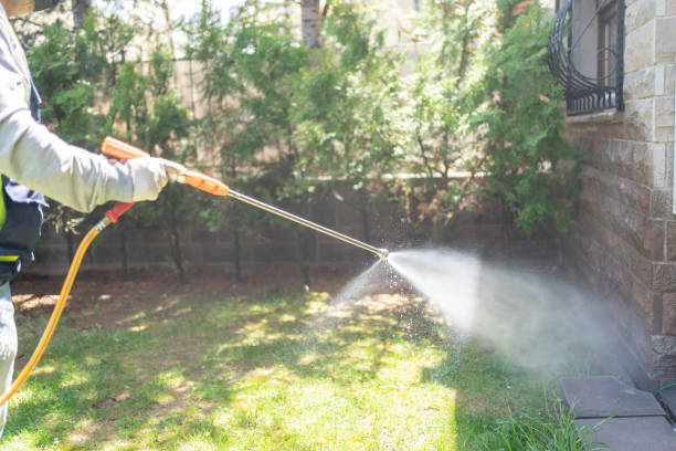 Insect Control in Harlem, FL