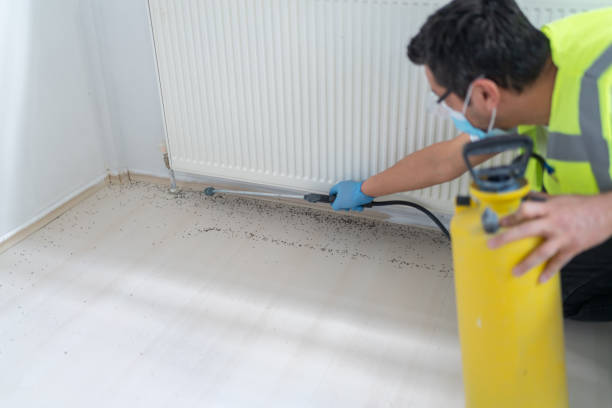 Best Best Pest Control Companies  in Harlem, FL