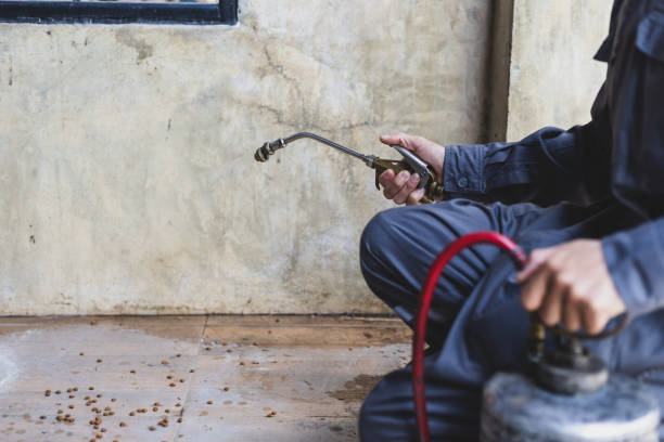 Reliable Harlem, FL Pest Control Solutions